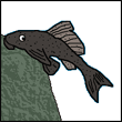 uzoju